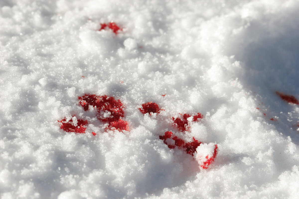 фото из открытых источников Яндекса