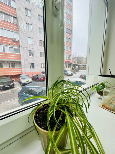    Жительница Курска просит взыскать с застройщика 40 тысяч за протекающие окна