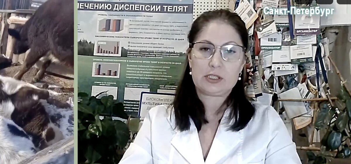 Ситуация с узелковым дерматитом в хакасии