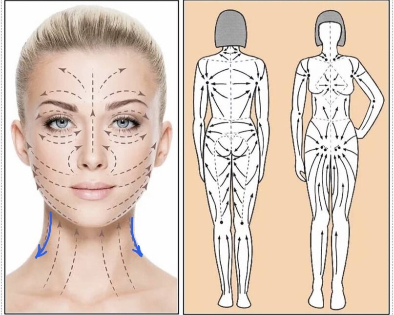Линии воздействия при лимфодренажном массаже лица и тела