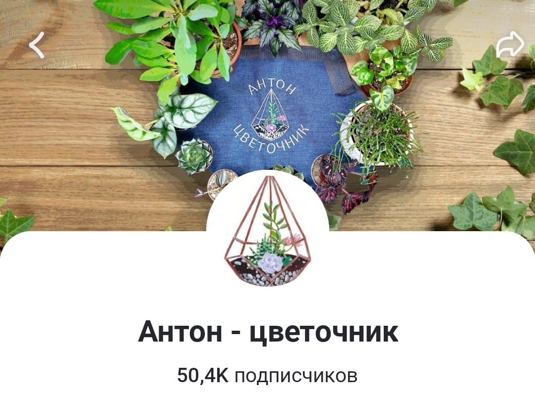 Уже больше 50 тысяч!!!