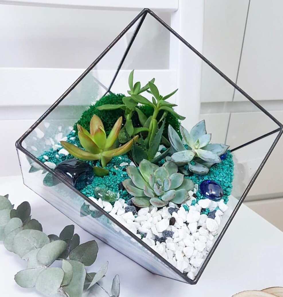 Один из первых флорариумов