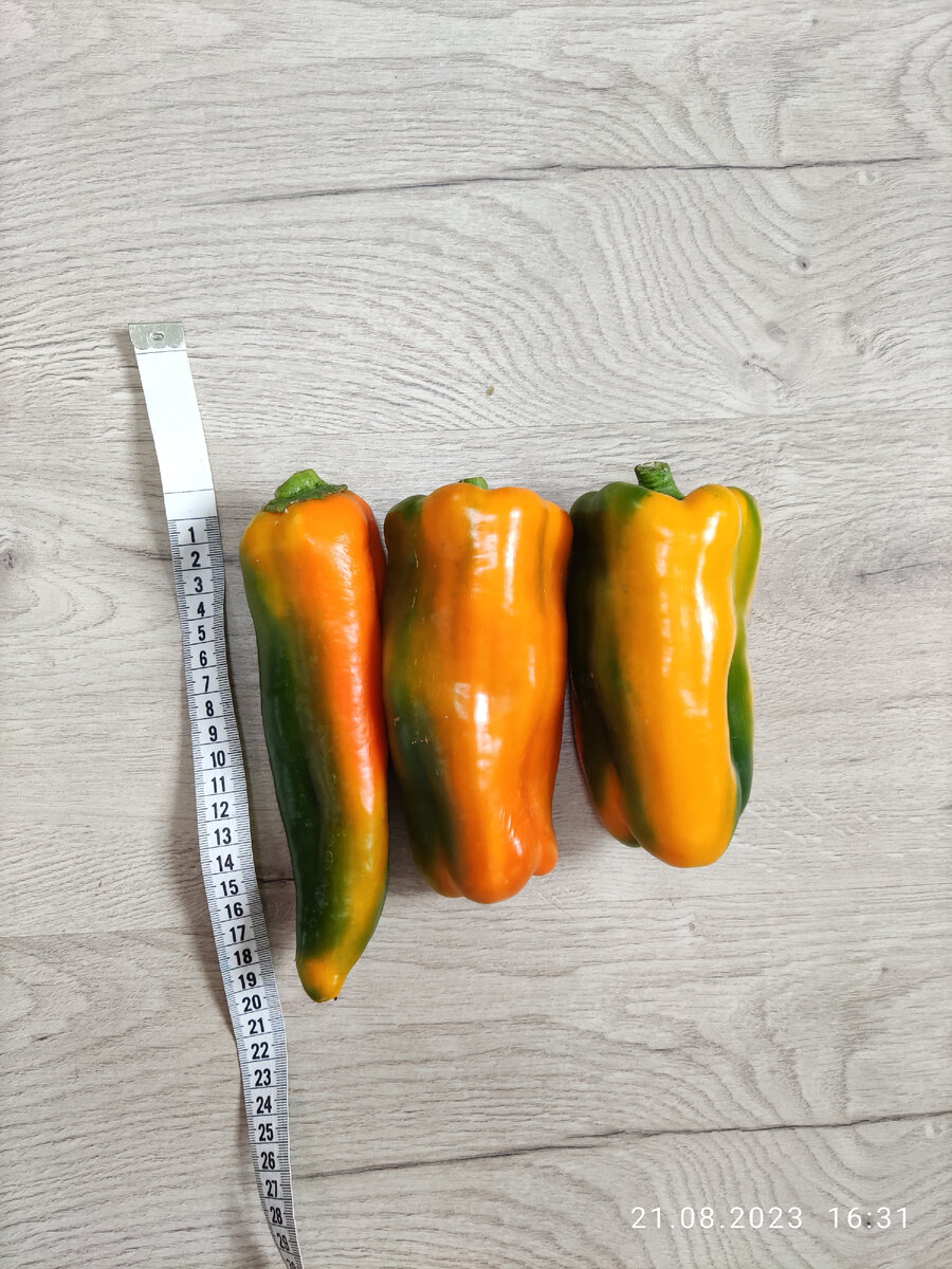 Слева золотой ключик, справа биг гëрл