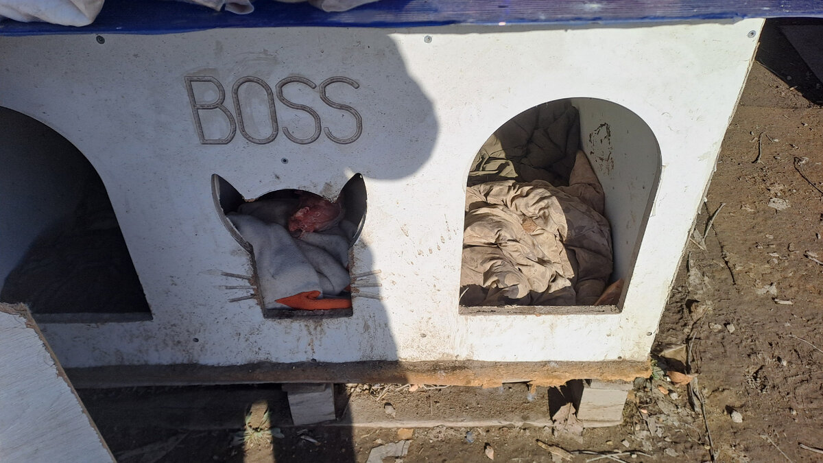 Фото автора