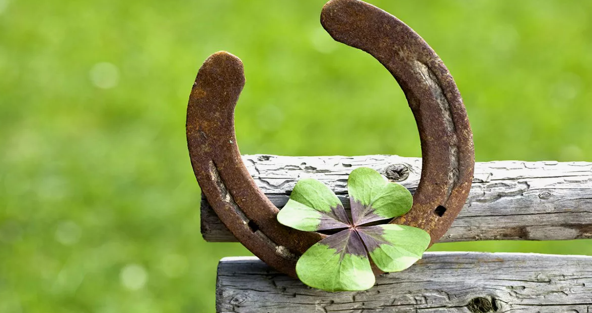 Удачи фф. Удачи фф. Картинки приносящие удачу. Удачливые фото. Четырехлистник на удачу.