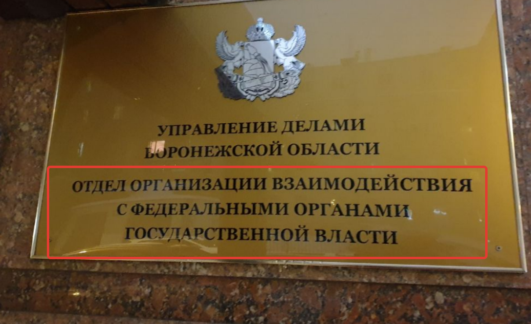 Объявлено название новой организации в структуре воронежского ...