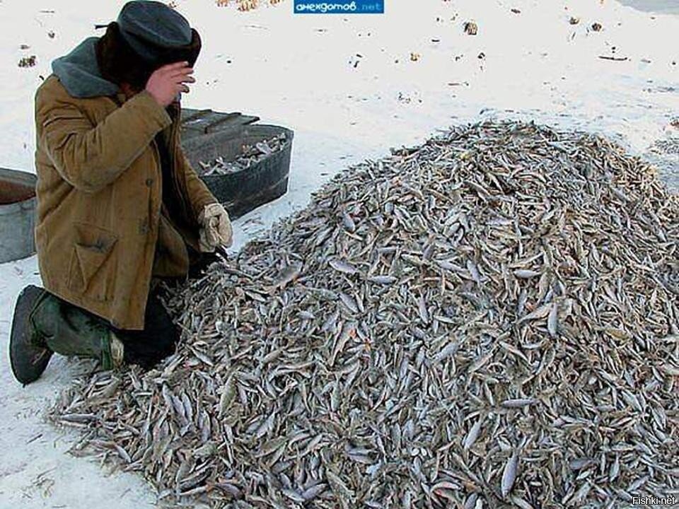 На что ловишь то и поймаешь