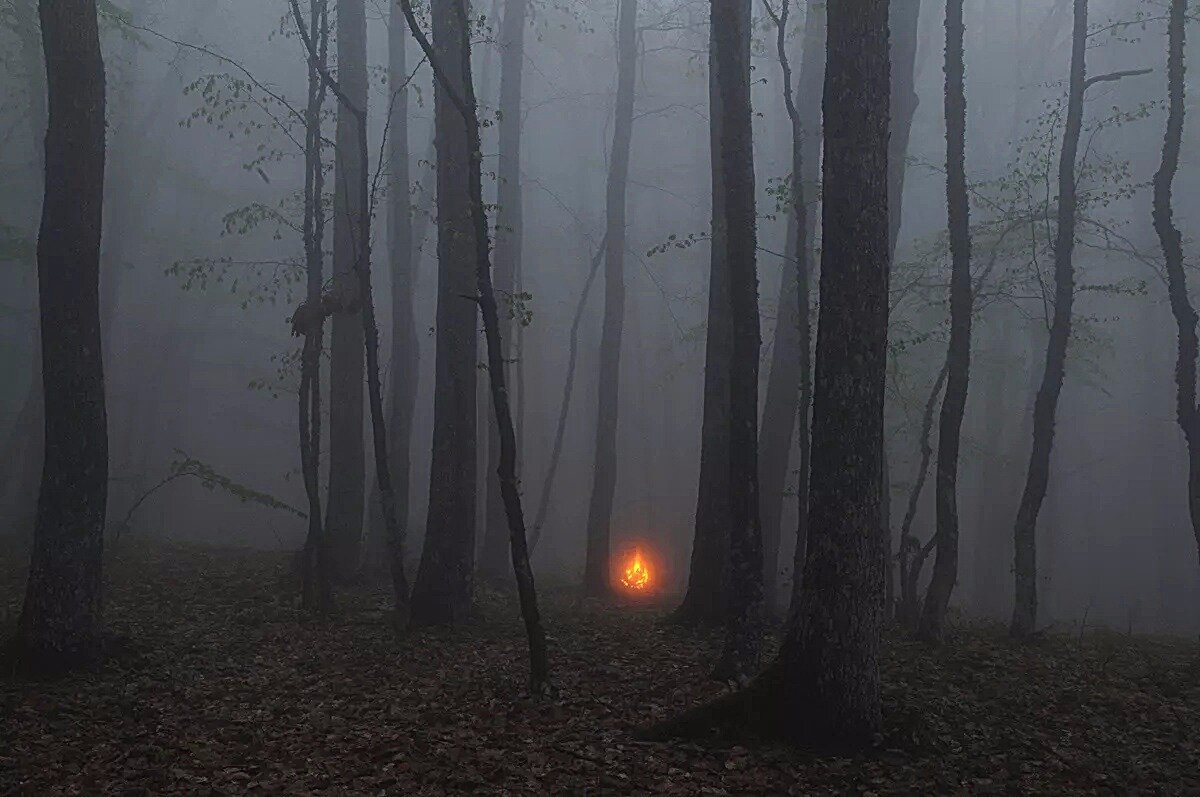 Картинка из интернета