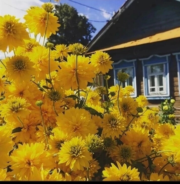 Фото из интернета