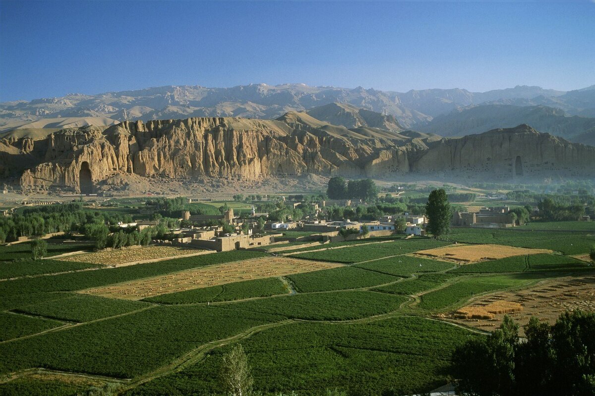 Яндекс Картинки