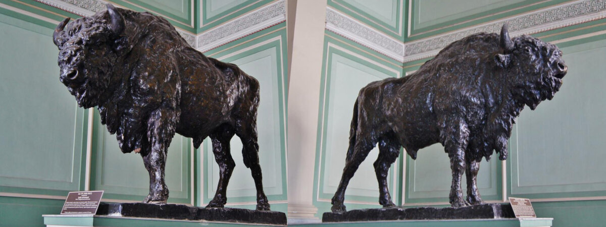 Коллаж из фото с сайта citywalls.ru