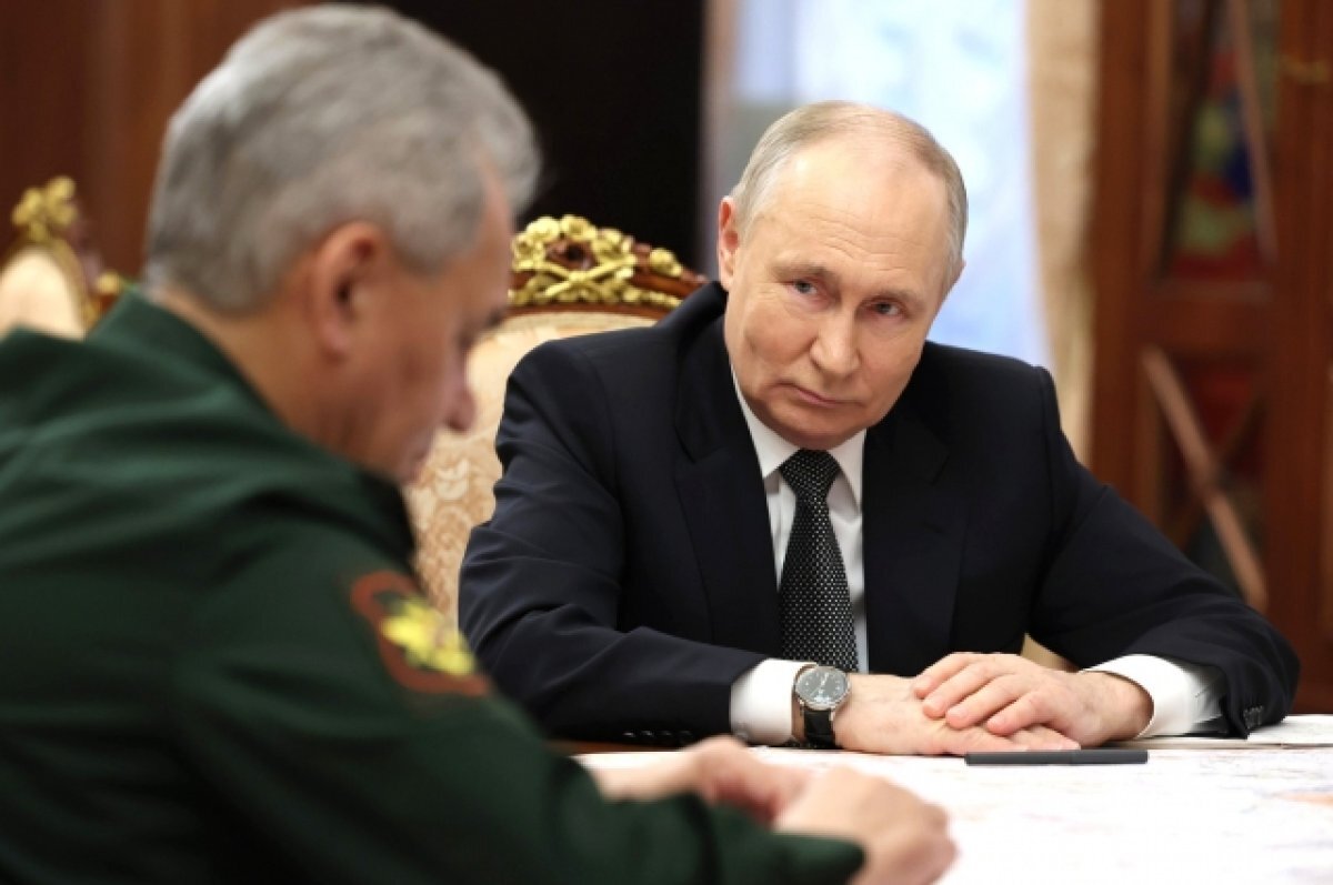    Министр обороны РФ Сергей Шойгу и президент РФ Владимир Путин.