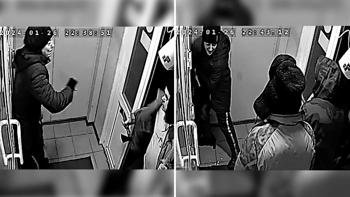 Избиение хозяйки питбуля попало на камеры видеонаблюдения. Кадры из видео 