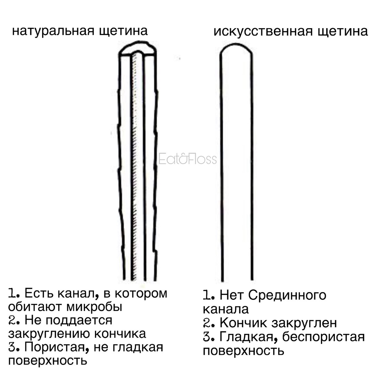 Сравнение натуральной щетины с искусственной