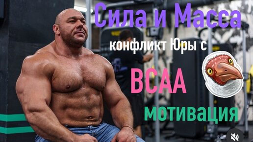 Подходы и повторения на силу