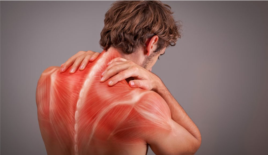 Боли в спине: причины, симптомы, диагностика, лечение — медцентр АКСИС (Зеленоград)