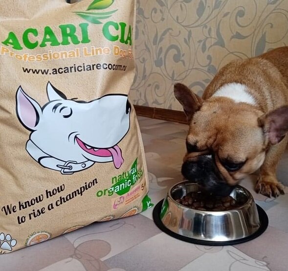 можно ли продукты и корма с глютеном для собак?