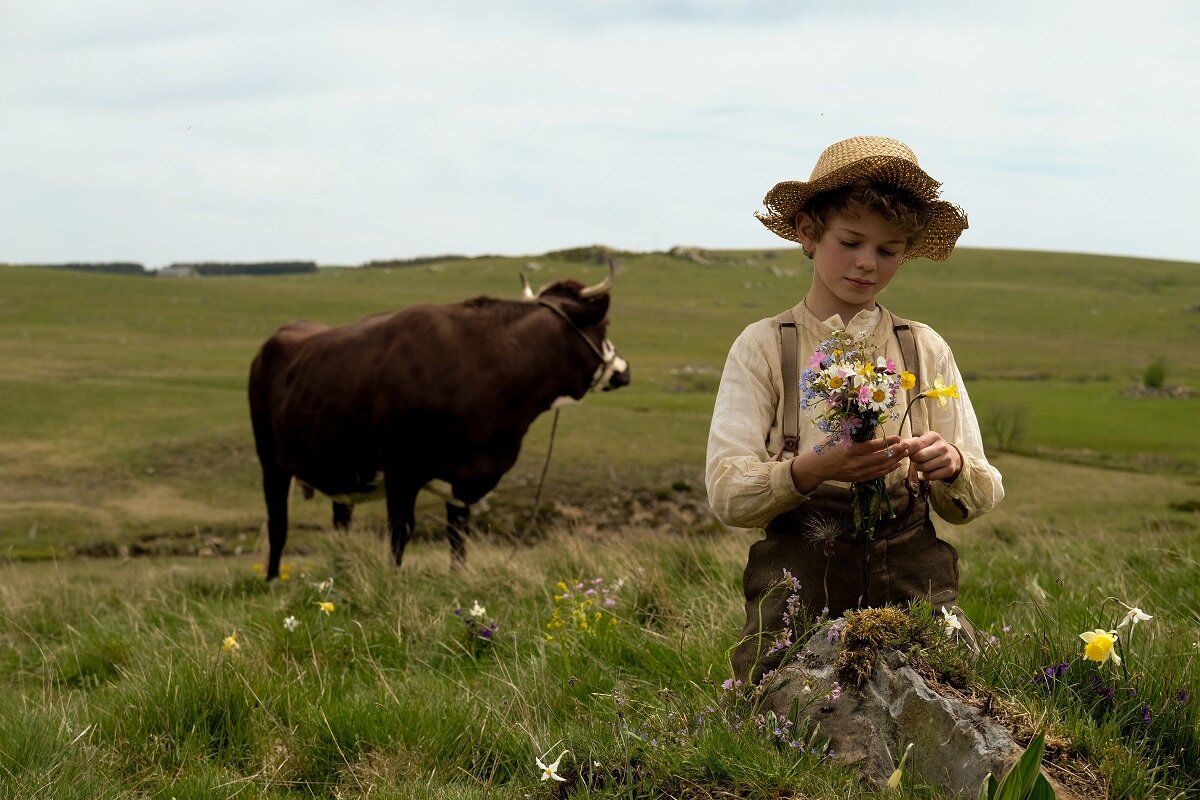 Приключения реми трейлер. Приключения Реми (2018). Приключения Реми (Rémi Sans famille, 2018). Малом Пакуин Maleaume Paquin. Приключения Реми 2019.