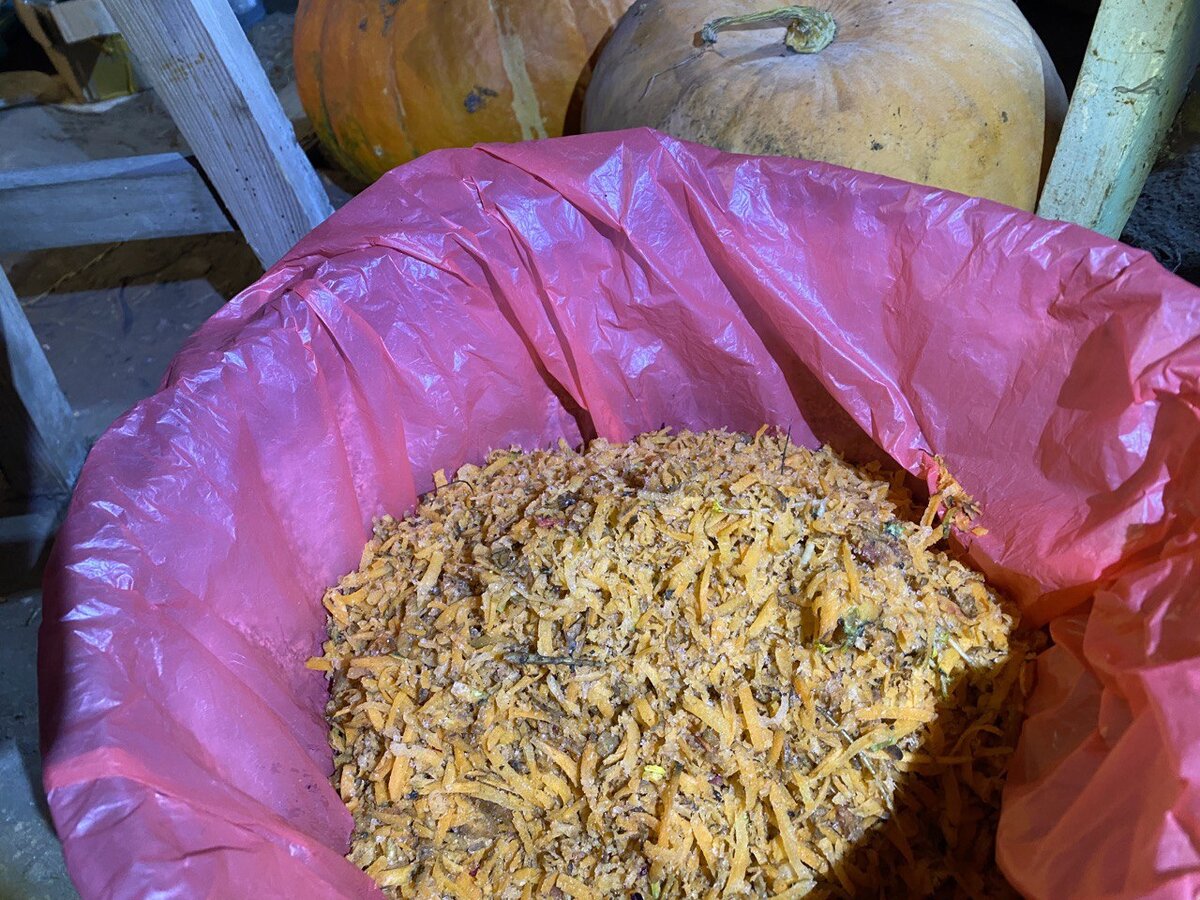 Шинкованная морковь для кур