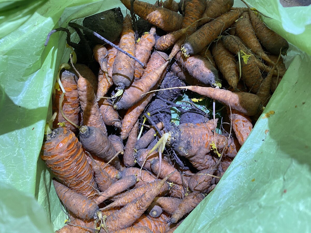 В планах было достать курам мелочёвку и неликвид... 