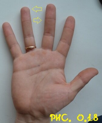 Большое расстояние между средним и безымянным пальцами.