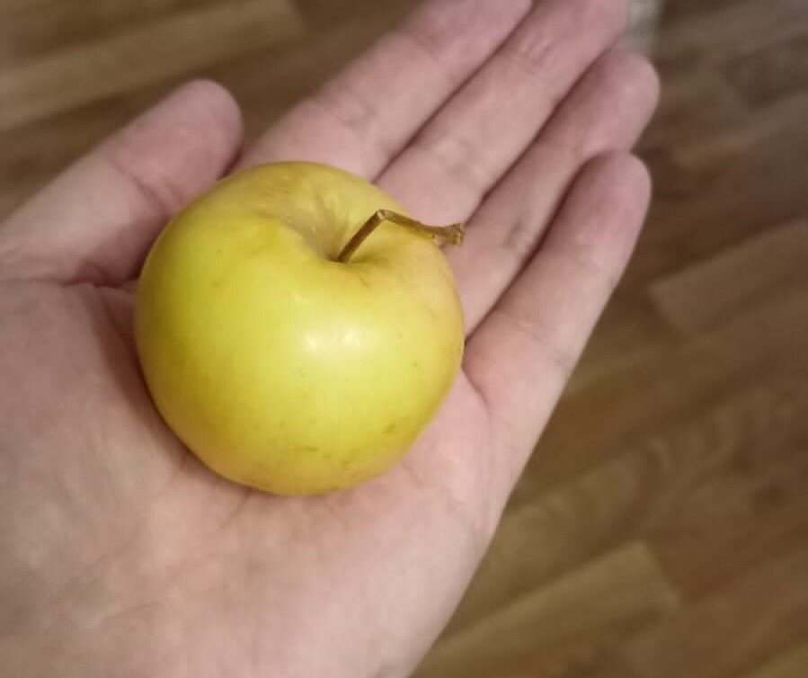    Фото: Амур.инфо