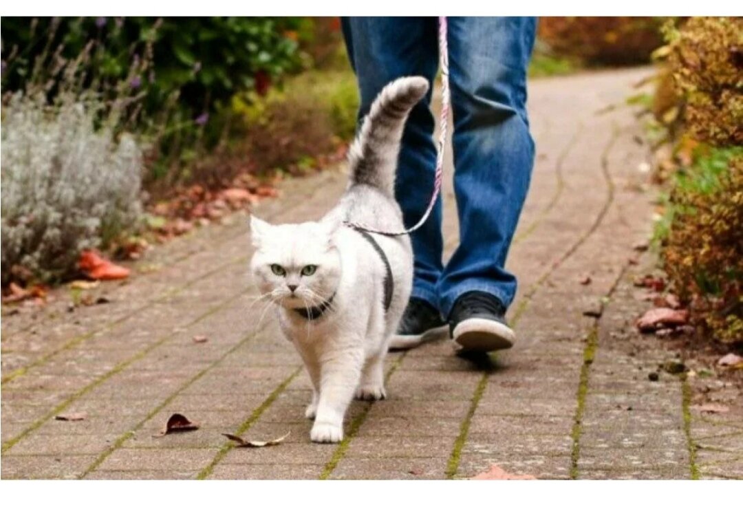 Фото из интернета