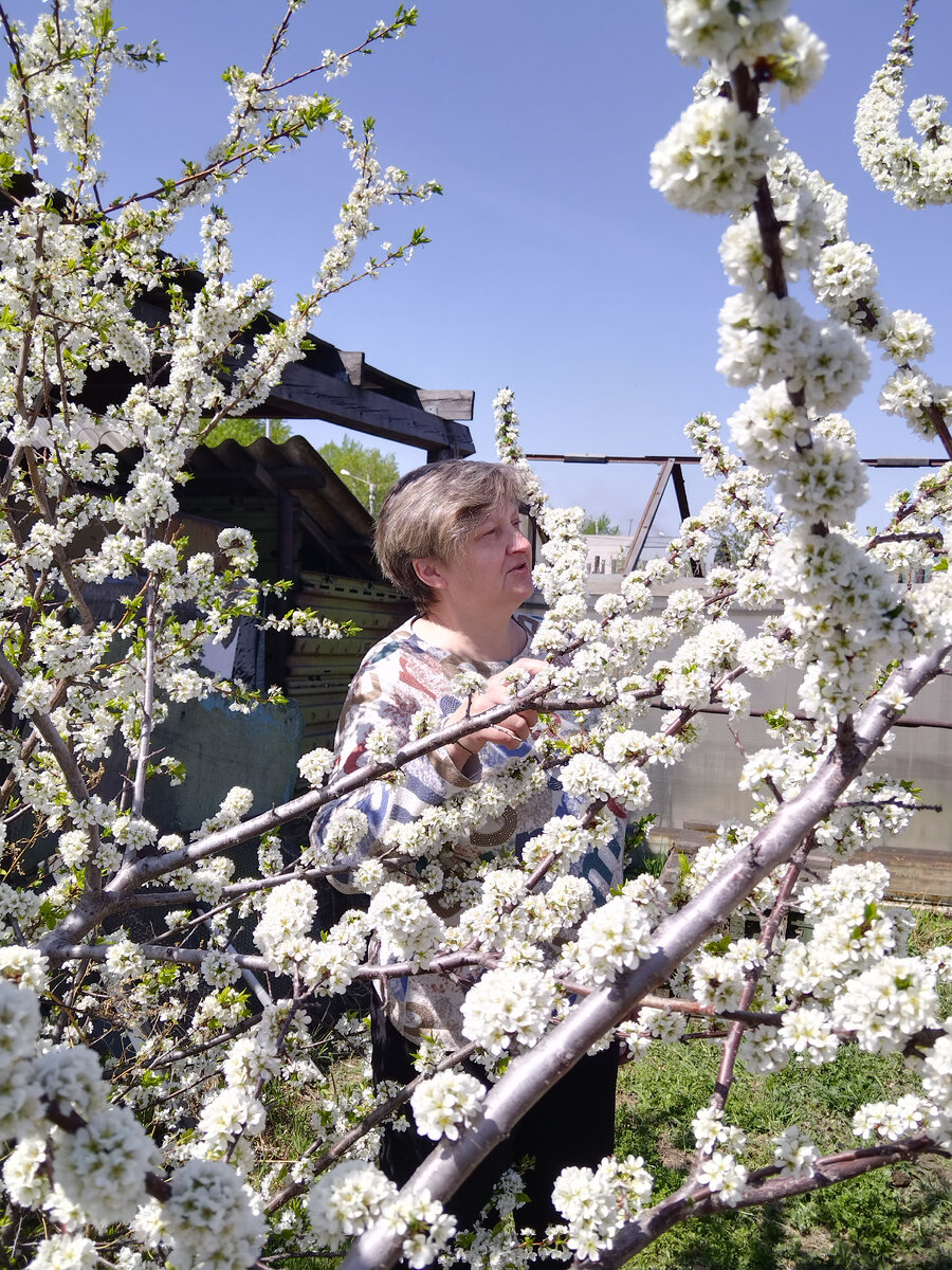 в гармонии с природой