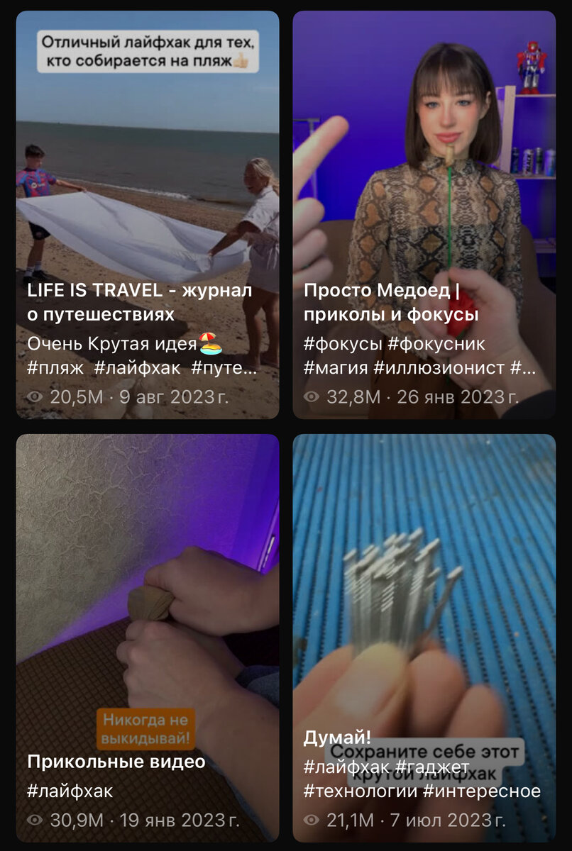 Скриншот: результаты поиска по запросу «лайфхак»