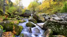 Польза минеральной воды курорта Белокуриха