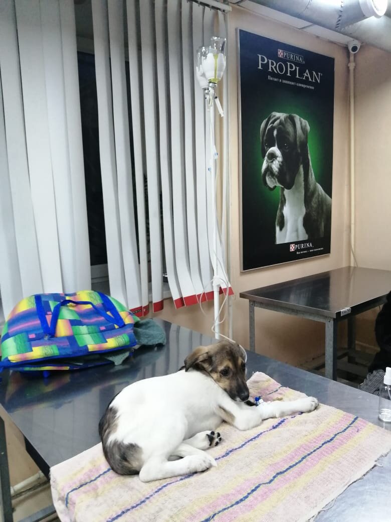 Снежинка на капельнице