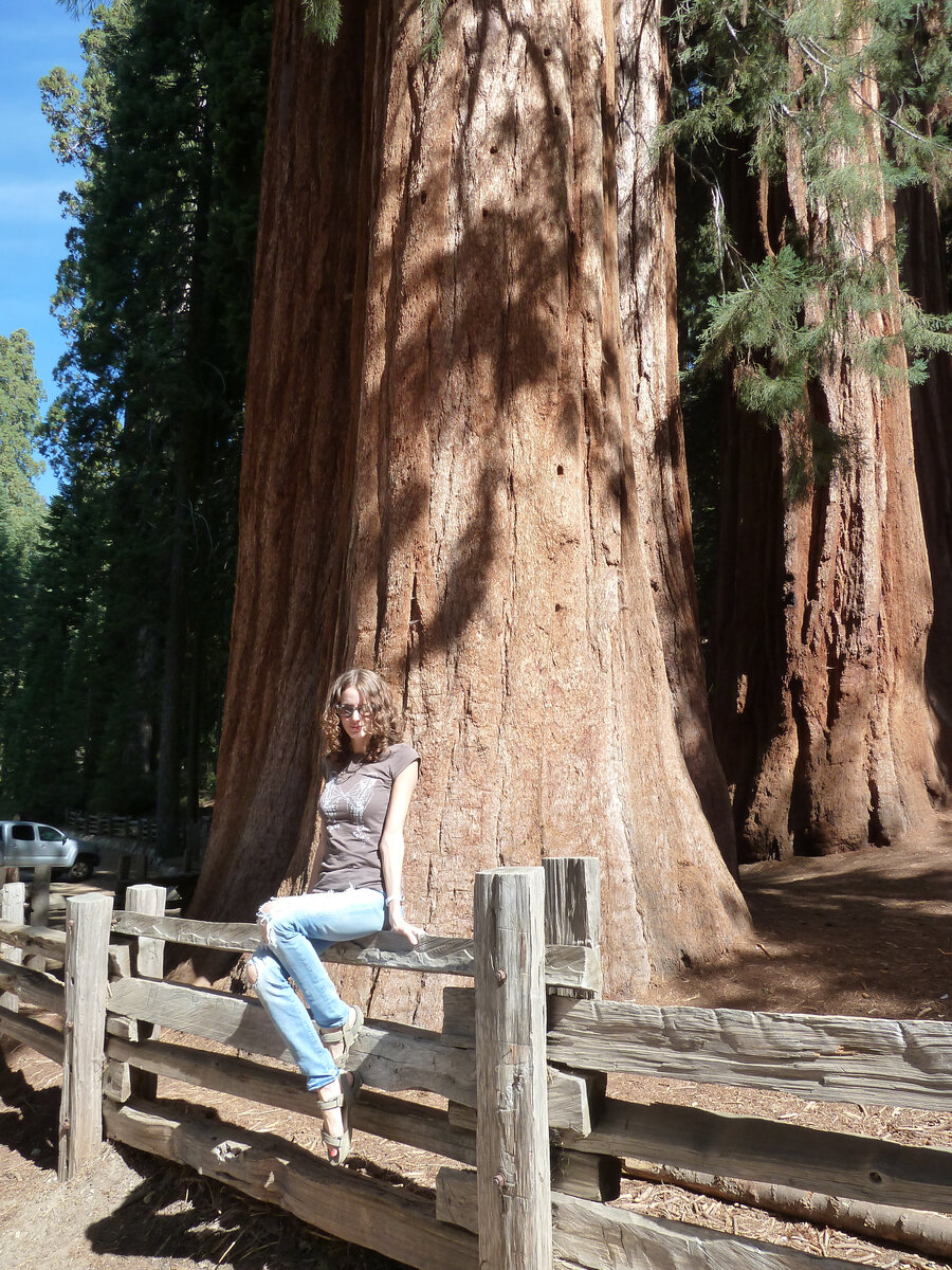 Секвоя парк