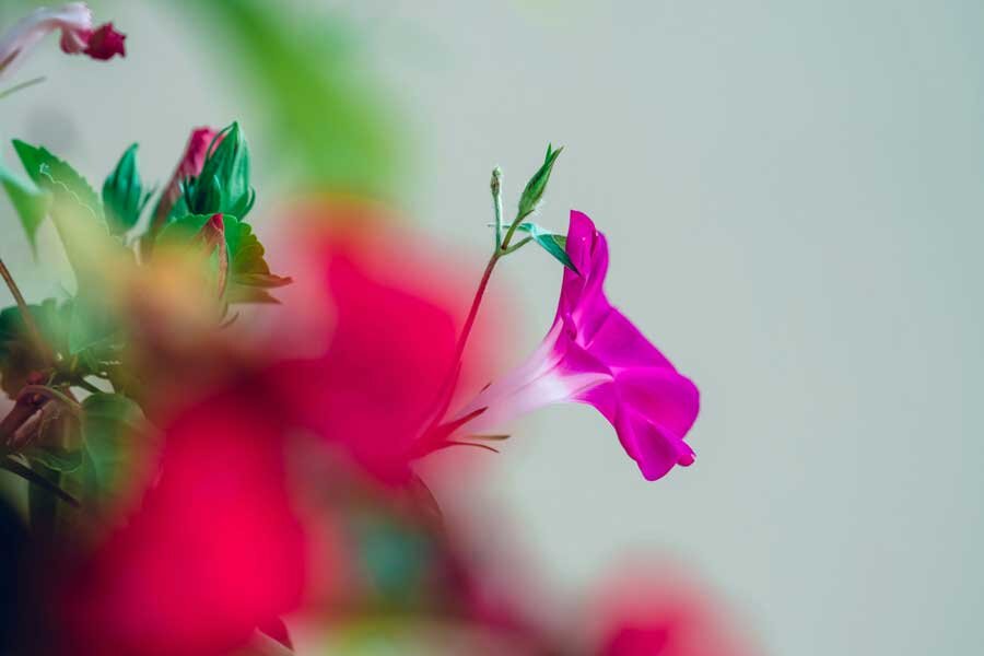    Фото: Jerry Wang / Unsplash.com