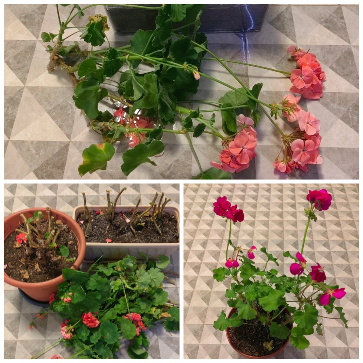 Осенний беспредел. Фото автора