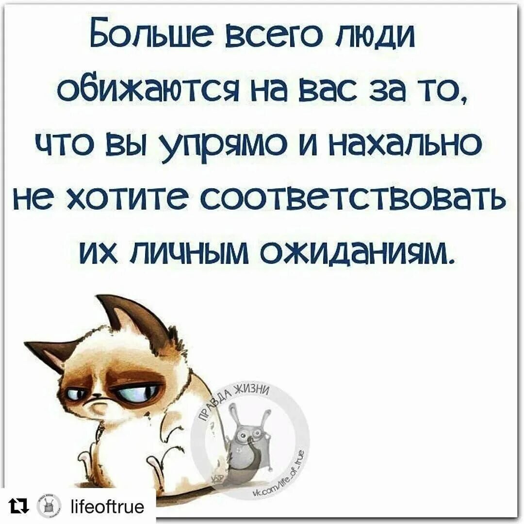 Спасибо тем кто остался, тем кто ушел, доброго пути, значит вы меня не так  поняли | Обо всём понемногу✍ | Дзен