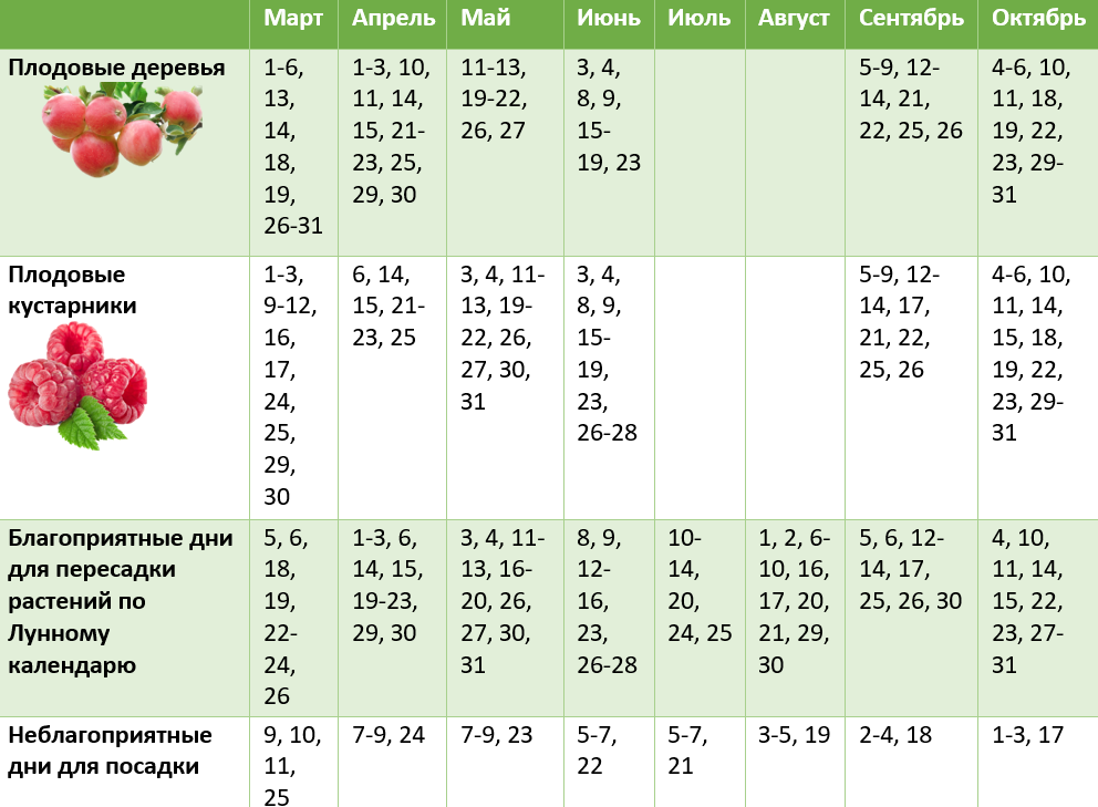Календарь посадки растений. Благоприятные дни для посадки комнатных растений. Календарь подрезки деревьев. Лу нный посевной календарь нпа март. Календарь обрезки растений.