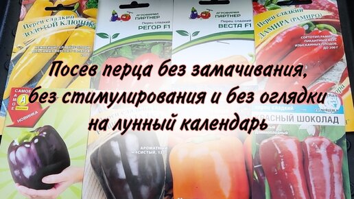 Посев перца без замачивания, без стимулирования и без оглядки на лунный календарь