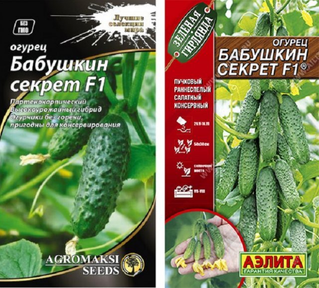 огурцы корюшка описание сорта фото. корюшка европейская osmerus eperlanus. огурец корюшка семена. огурцы корюшка описание сорта фото. рыбка корюшка.