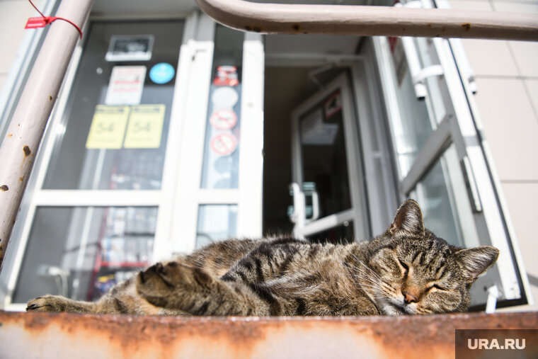 Погода в йошкар-оле на 14 дней. Когда наступит тепло в 2024. День весеннего равноденствия 2021. Самый короткий день в декабре. Москва в конце апреля.