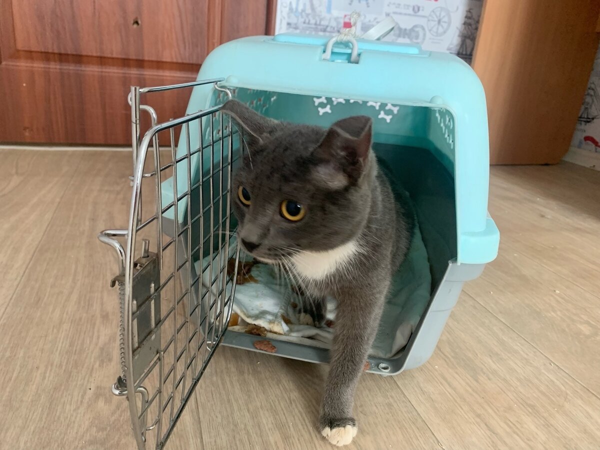 Лушины ушки висят, как тряпочки