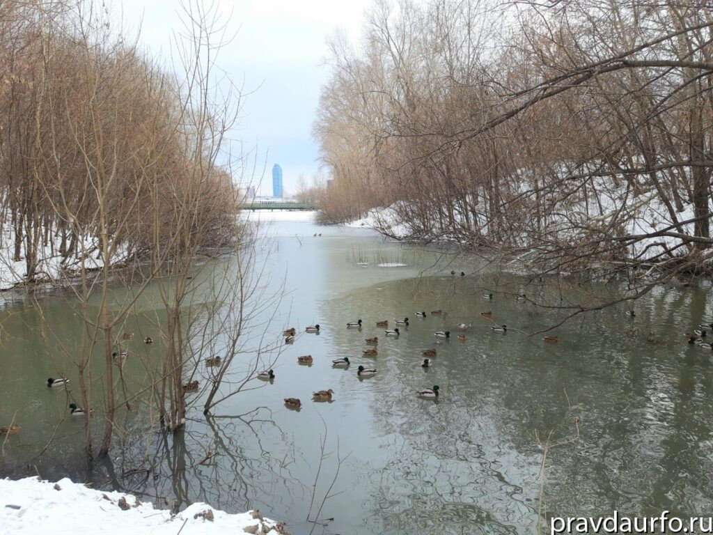 Руководство «Водоканала» заплатит за слив нечистот в реки Екатеринбурга |  Правда УрФО | Дзен