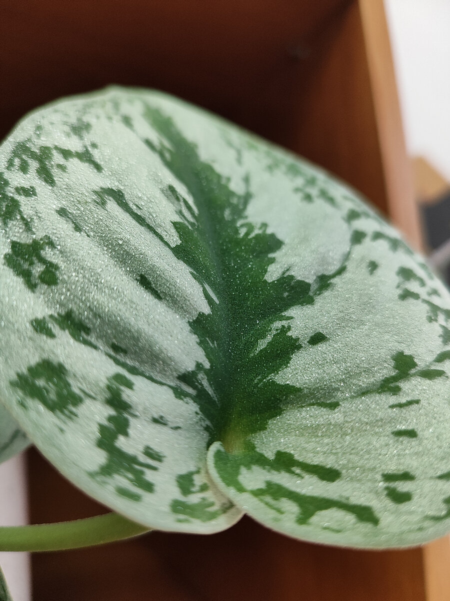 Капельки мелкие, почти туман. 