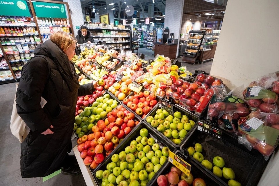 Груша любимица яковлева. Груша спб. Сорт груши киффер. Груша колоновидная сорт г1. Груша чижовская позднелетний сорт.