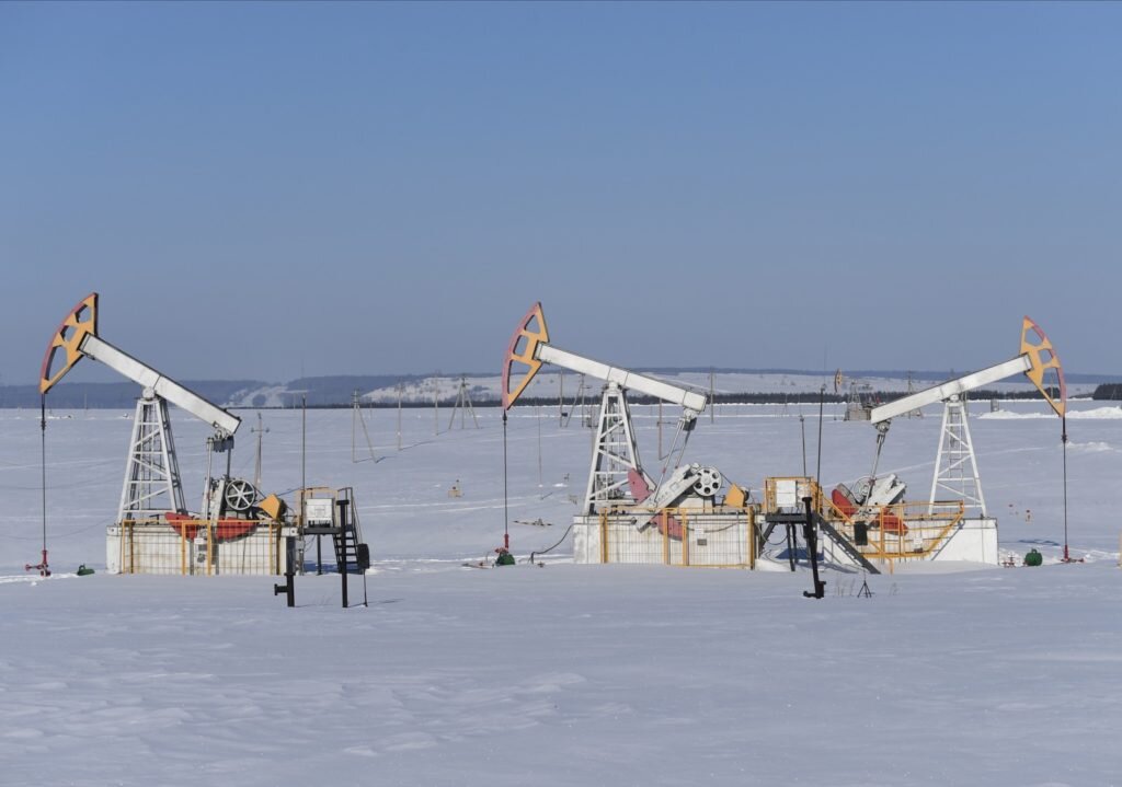    Максим Богодвид / РИА Новости