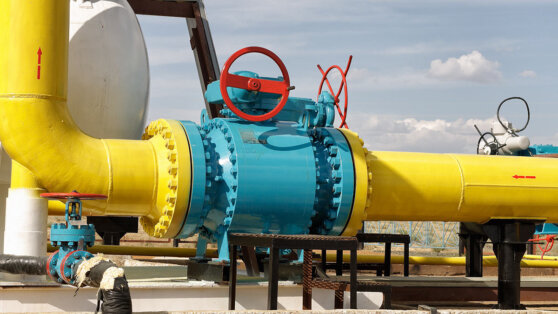    Узбекистан увеличит закупку газа в России в 3,5 раза Татьяна Сидорова