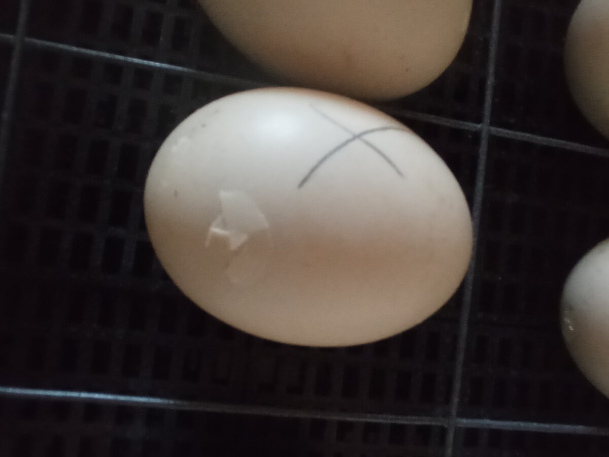 Пошёл процесс