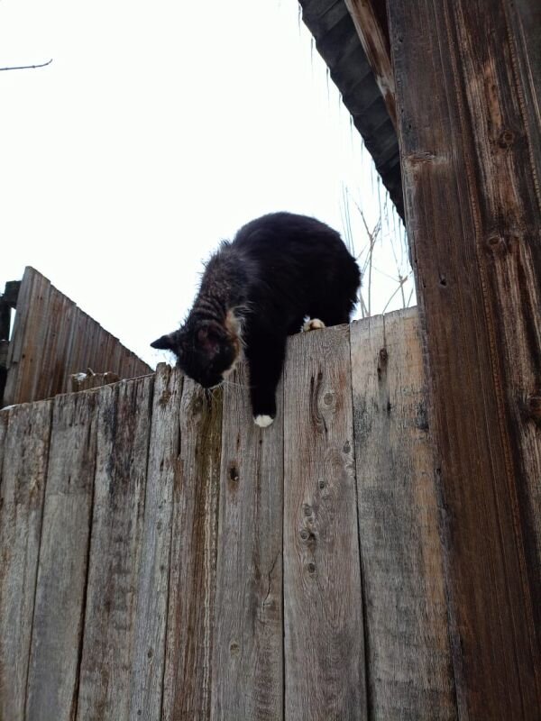 Фото: Е. Зимней 