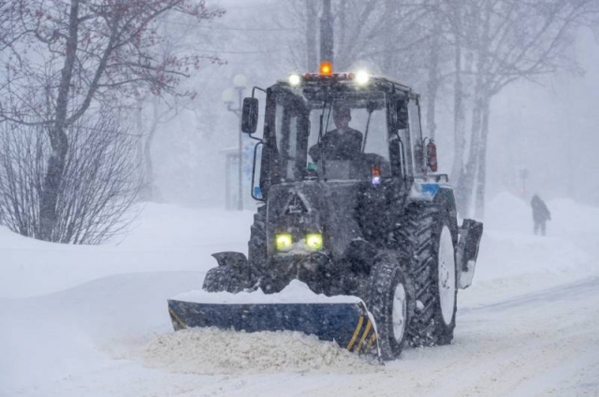   Порядка 30 раз псковичи жаловались на ненадлежащую уборку снега в феврале