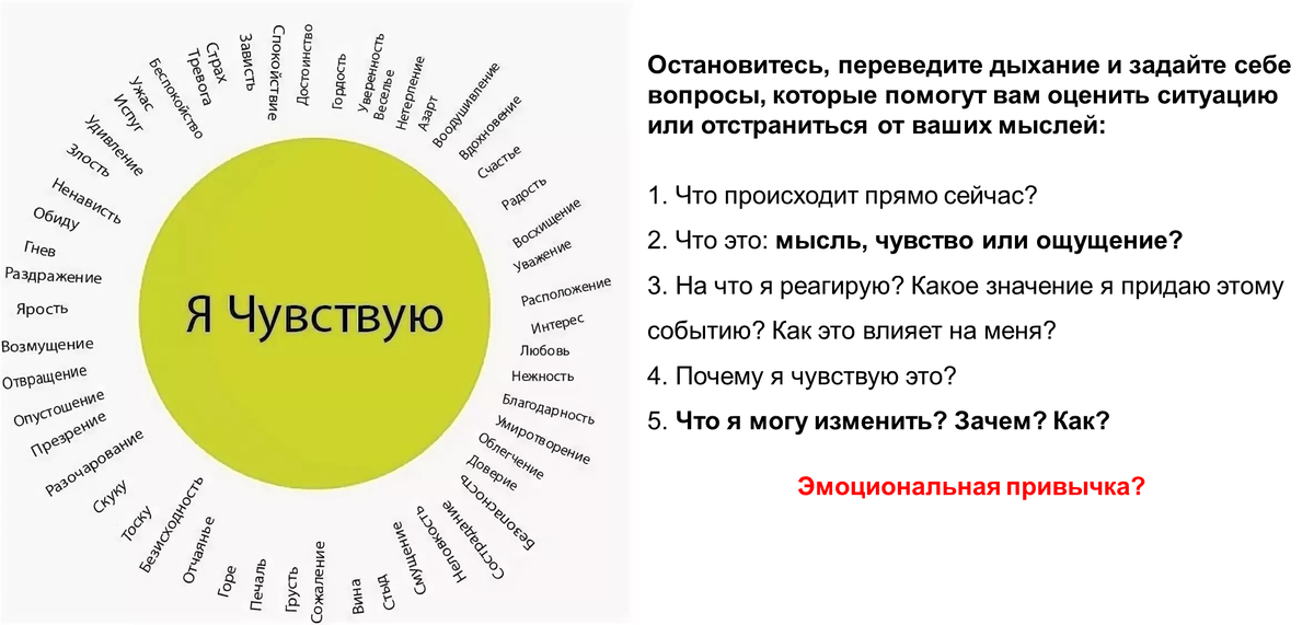 Толстеют на глазах. Толстеют на глазах