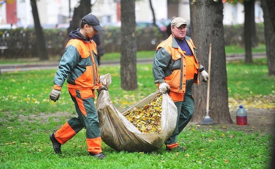    Фото из открытых источников